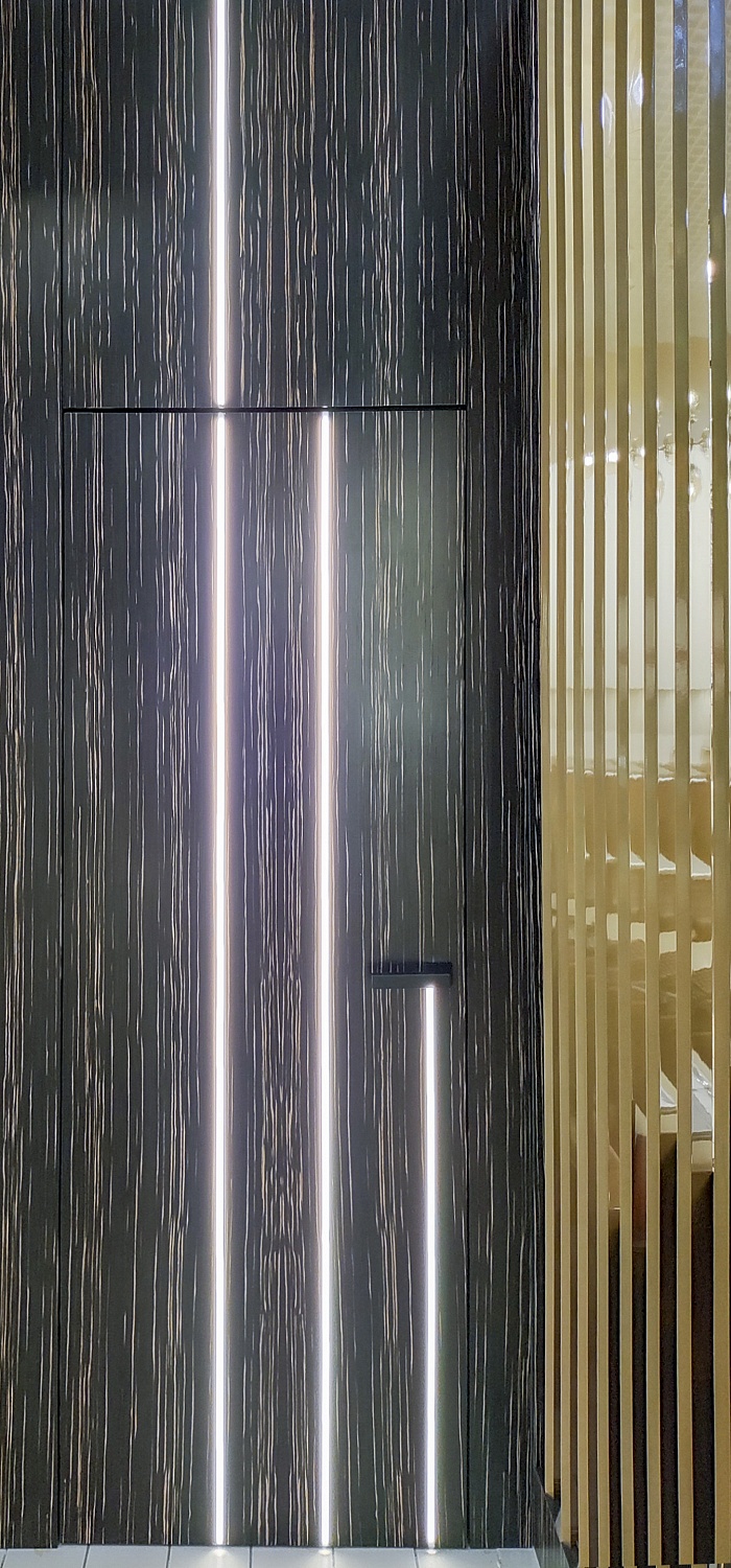 Шпонированная межкомнатная дверь с подсветкой